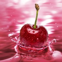 Test-CD